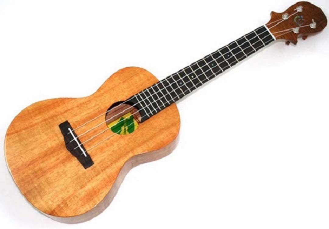 Đàn ukulele có thể chơi trên nhiều thể loại âm nhạc khác nhau