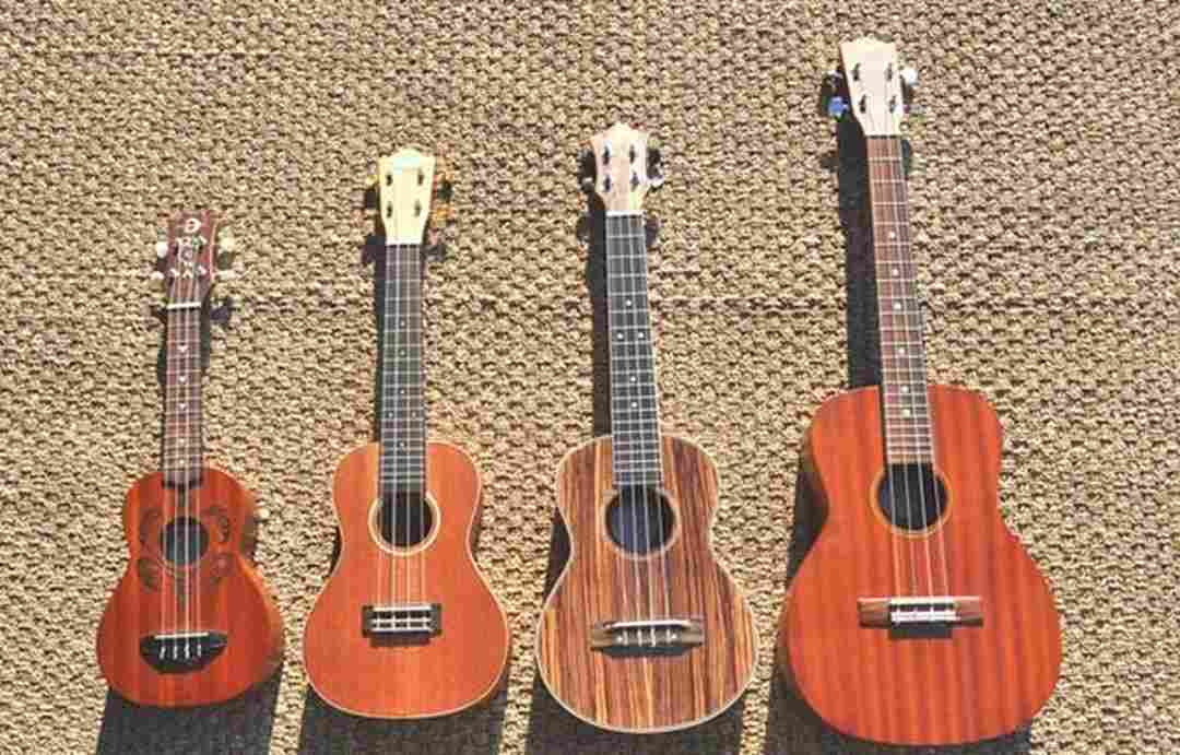 Đàn ukulele có giá từ 700.000 VNĐ đến 20 triệu tùy chất liệu