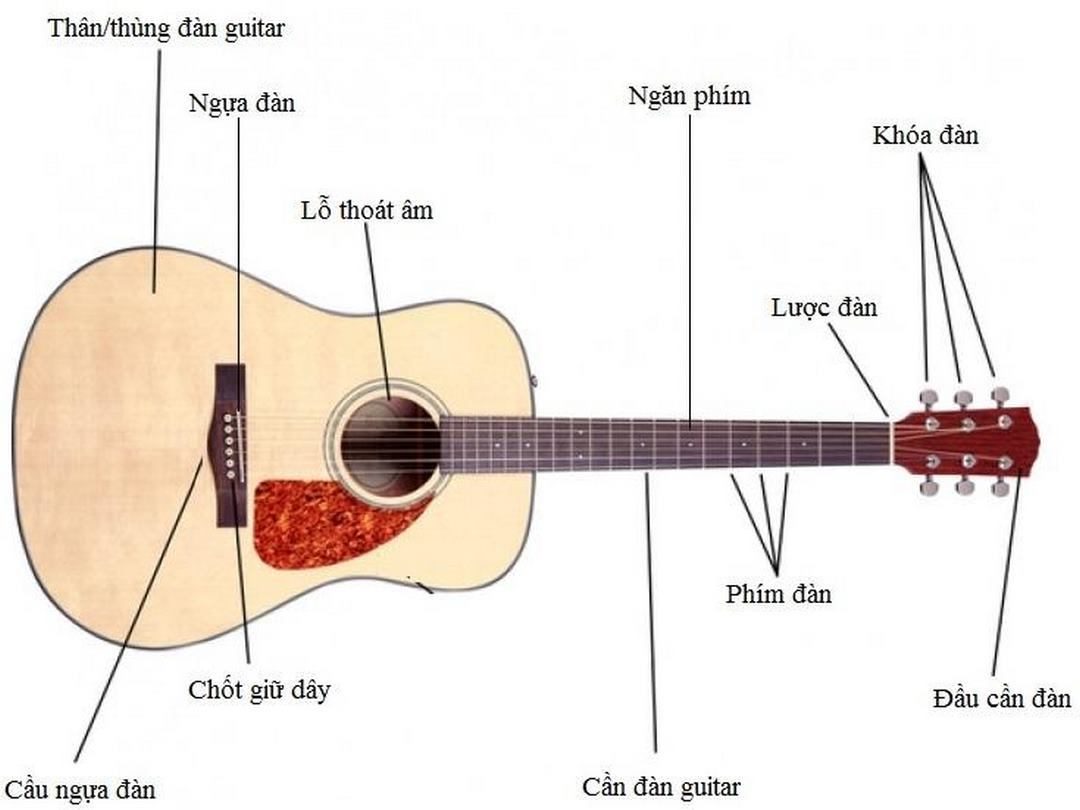 Cấu tạo của đàn Guitar classic