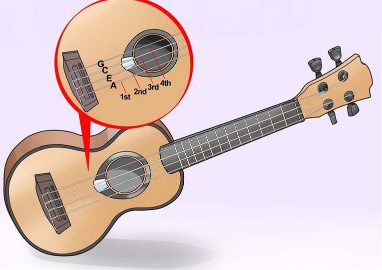 12 hợp âm Ukulele cơ bản cho người mới học