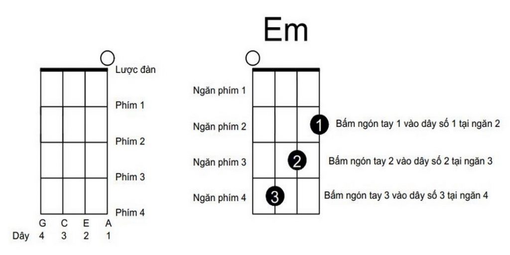 Hợp âm Ukulele là gì và cách bấm đơn giản, dễ hiểu