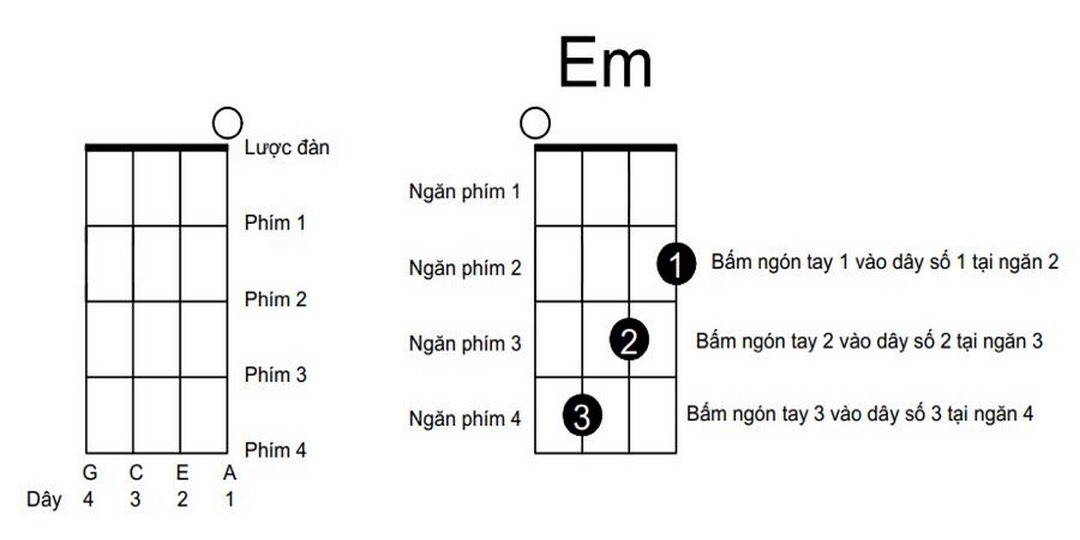 Nắm được biểu đồ hợp âm Ukulele cơ bản để chơi đúng tiết tấu