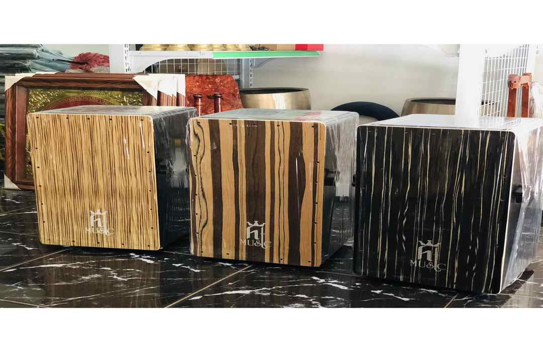 Có rất nhiều loại trống cajon được bán trên thị trường