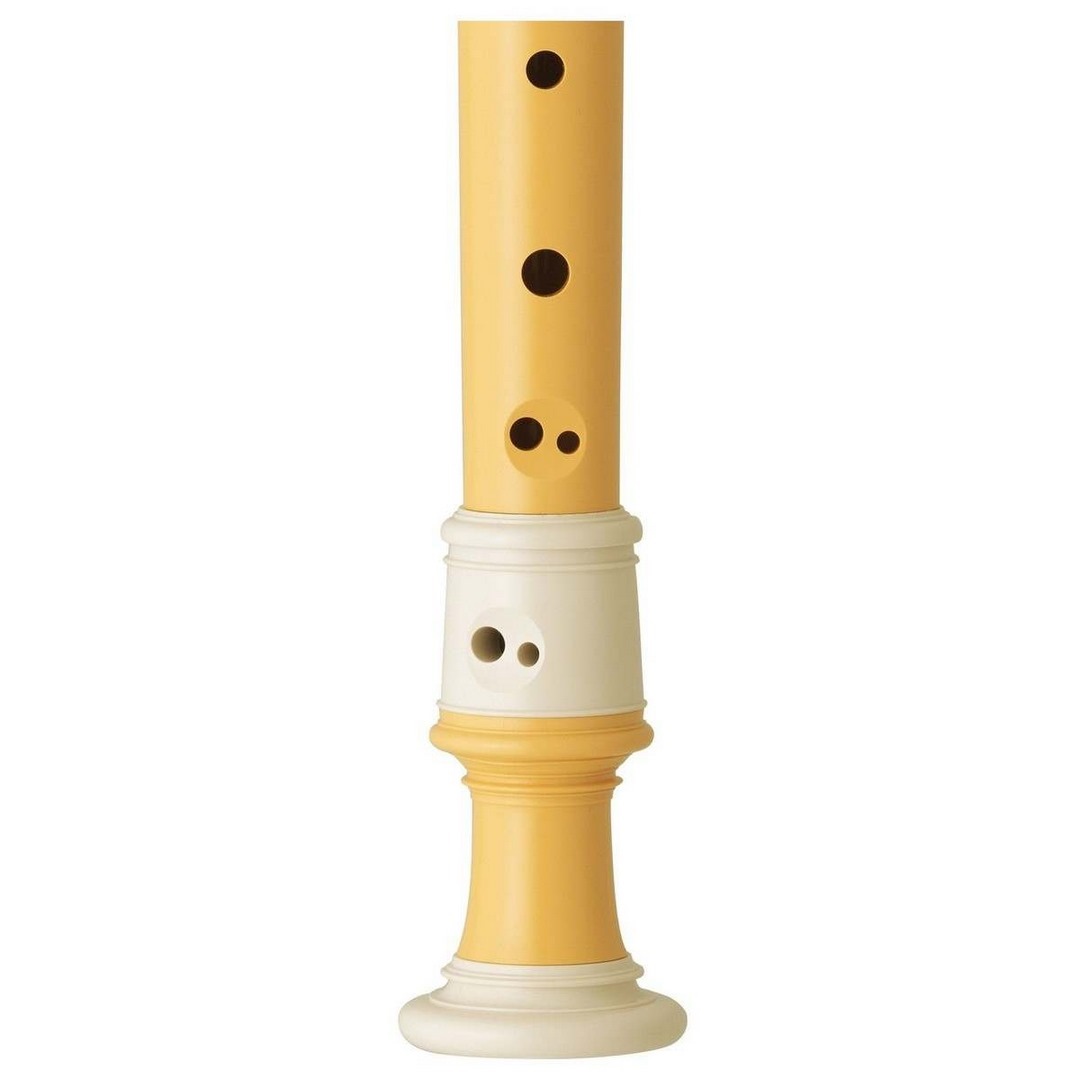 Lịch sử hình thành của sáo Recorder 