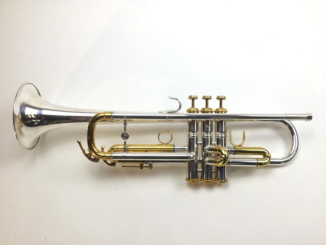 Trên kèn Trumpet sẽ có nhiều van có mức độ ân khác nhau