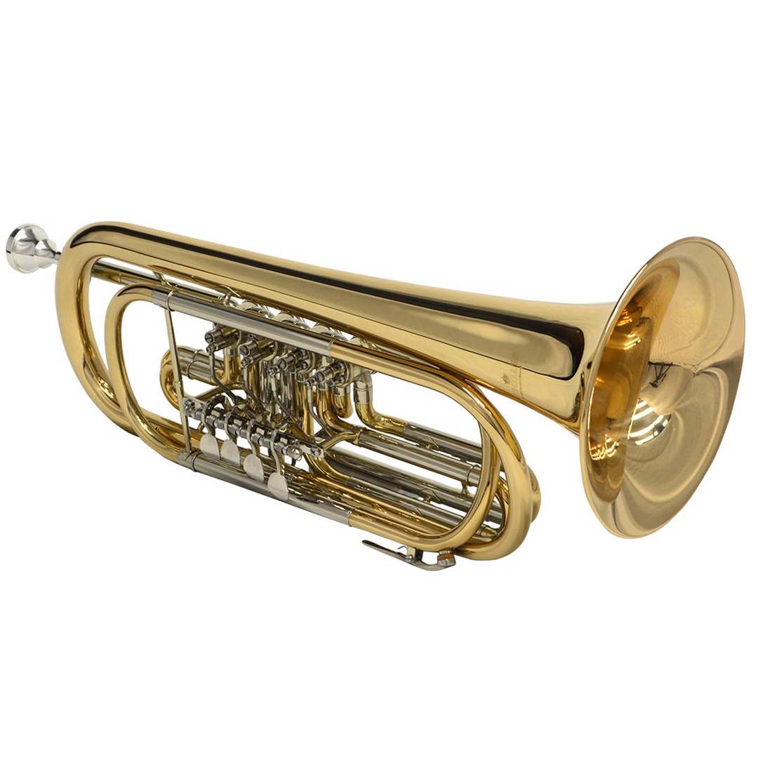 Hình ảnh cấu tạo bên ngoài của chiếc kèn Trumpet 