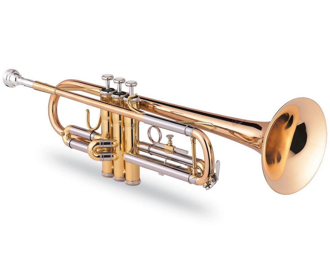 Bạn có thể sử dụng kèn Trumpet với nhiều kiểu dáng khác 