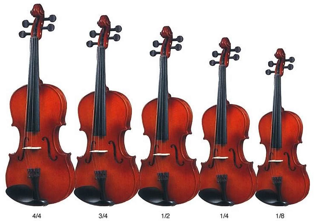 Đàn Violin là loại đàn có kích thước nhỏ nhất