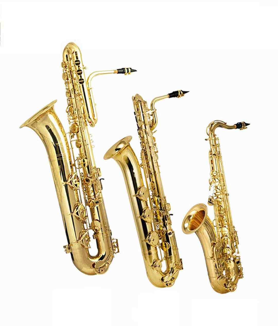 Alto Saxophone là loại kèn saxophone phổ biến nhất