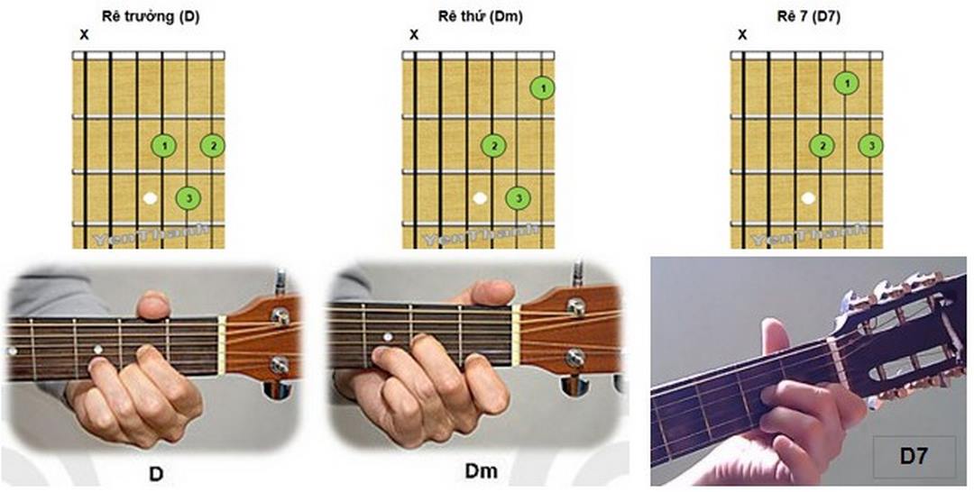 Các bước cơ bản để bấm hợp âm guitar đúng cách